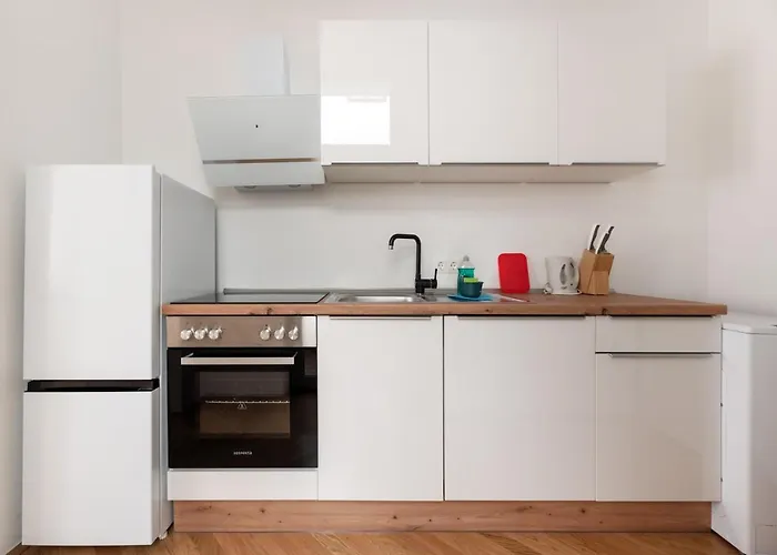 Zwischen Schoenbrunn Und Zentrum, Neues In Gruenruhelage Bei Schoenbrunn Appartement